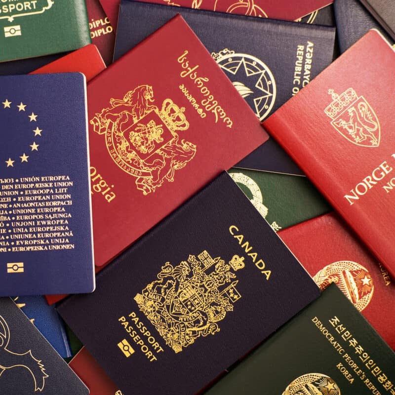 fake novelty passport maker