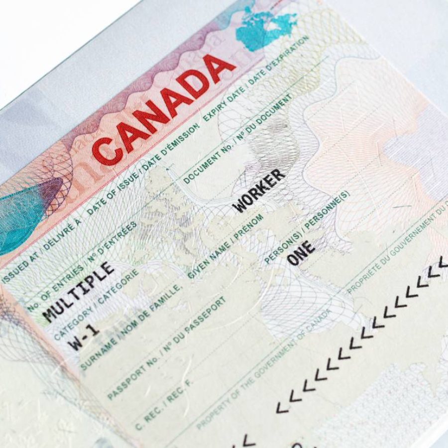buy real fake visa online