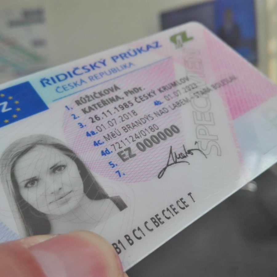 buy novelty driving license